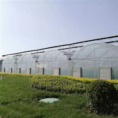 Multi-span Agriculture Greenhouse
